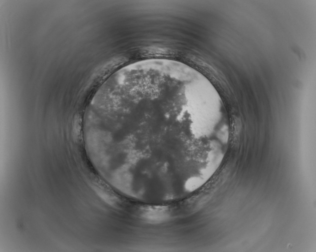 X0000112830361200910021227