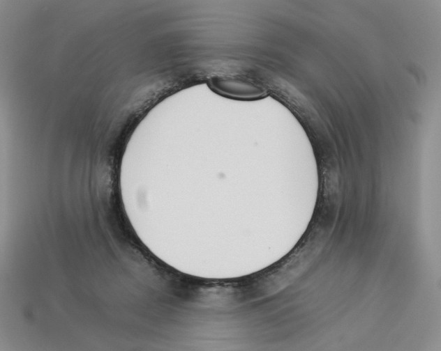 X0000112830362200910021227