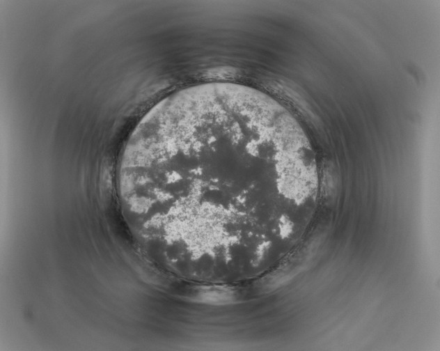 X0000112830363200910021227