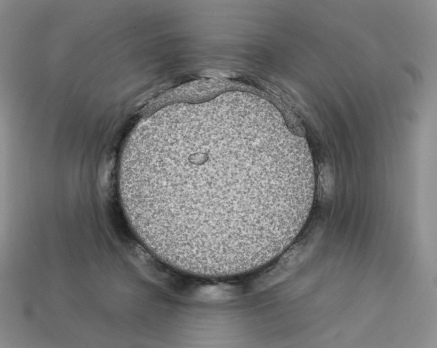 X0000112830364200910021227