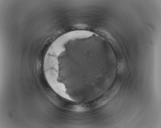 X0000112830365200910021227