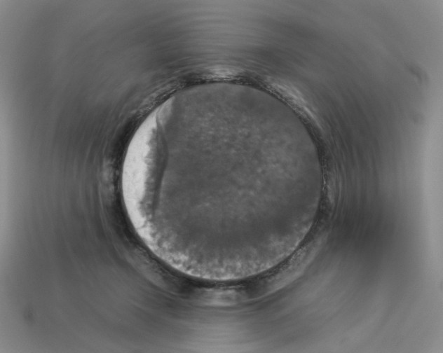 X0000112830366200910021227