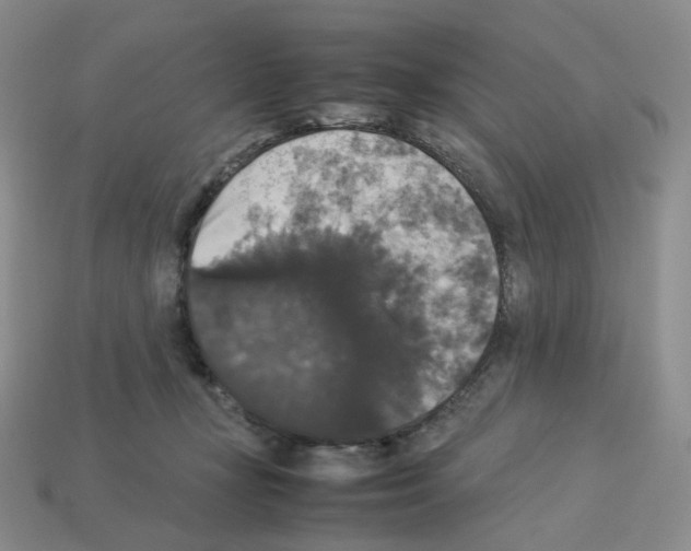 X0000112830367200910021227