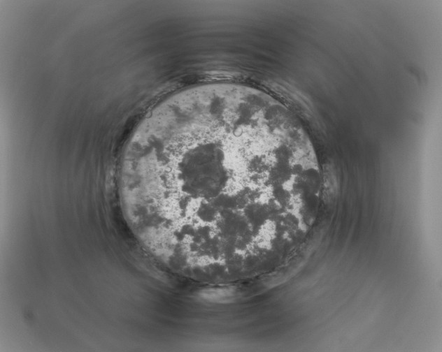 X0000112830369200910021227