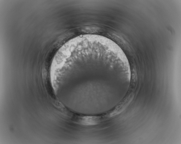 X0000112830371200910021228