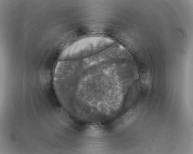 X0000112830372200910021228