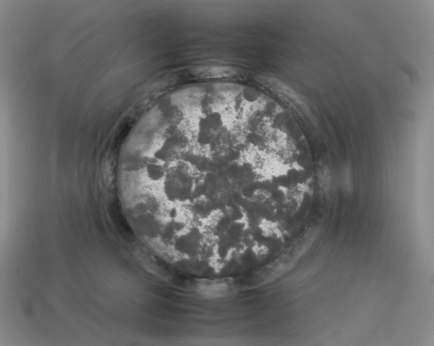 X0000112830373200910021228