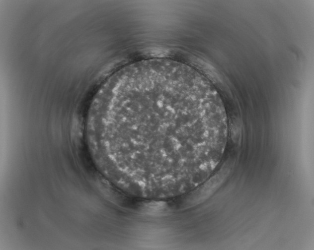 X0000112830374200910021228