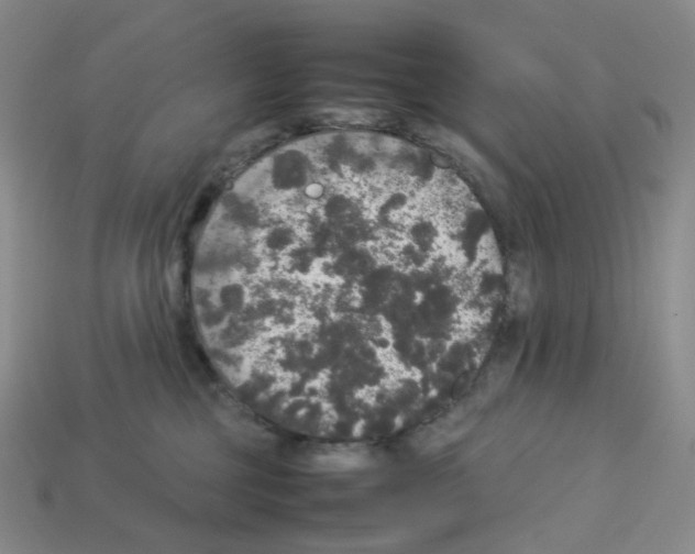 X0000112830377200910021228