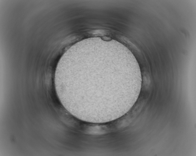 X0000112830379200910021228