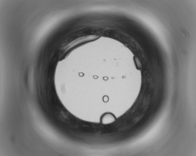 X0000112830382200910021228