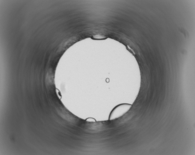 X0000112830384200910021228