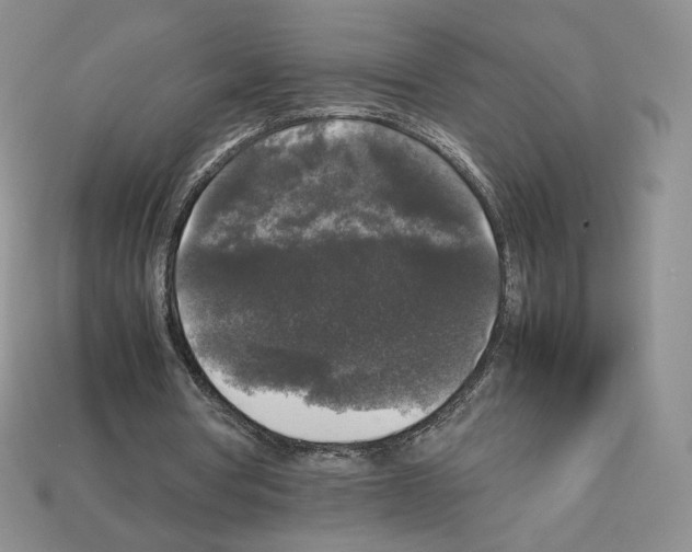 X0000112830386200910021227