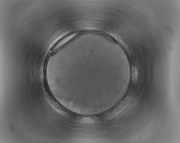 X0000112830390200910021227