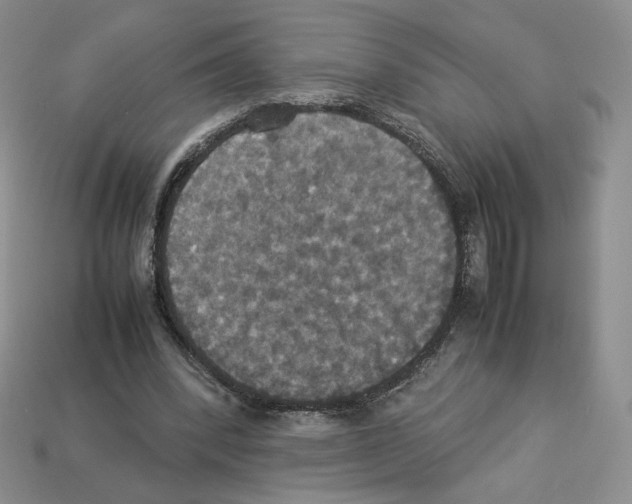 X0000112830392200910021227