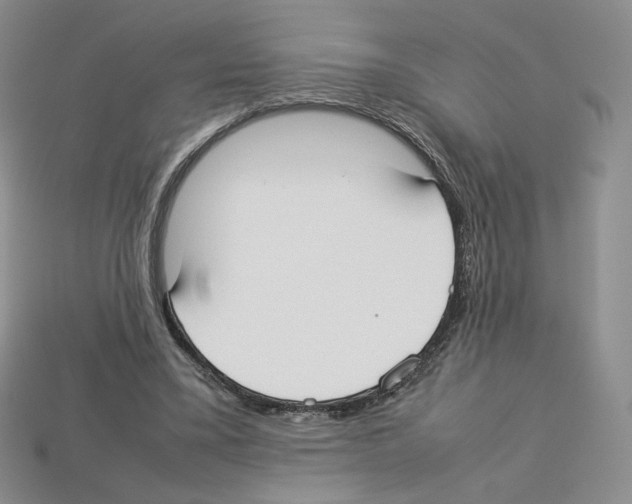 X0000112830395200910021227