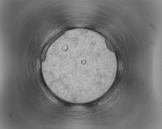 X0000112830397200910021227