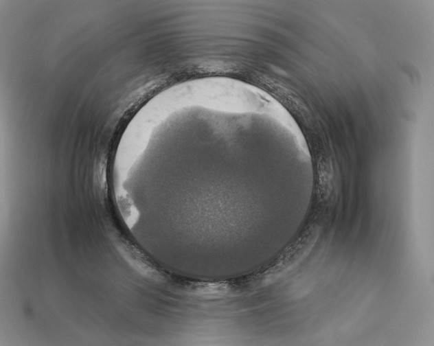 X0000112830398200910021227