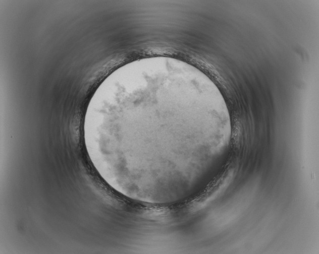 X0000112830402200910021227