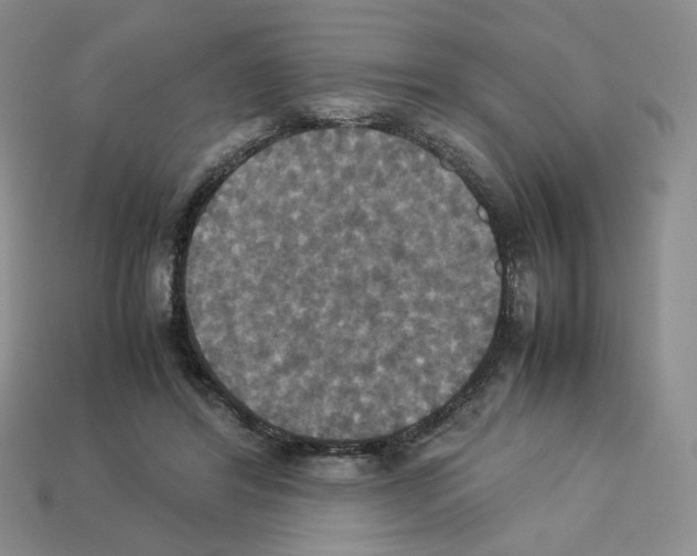 X0000112830404200910021227