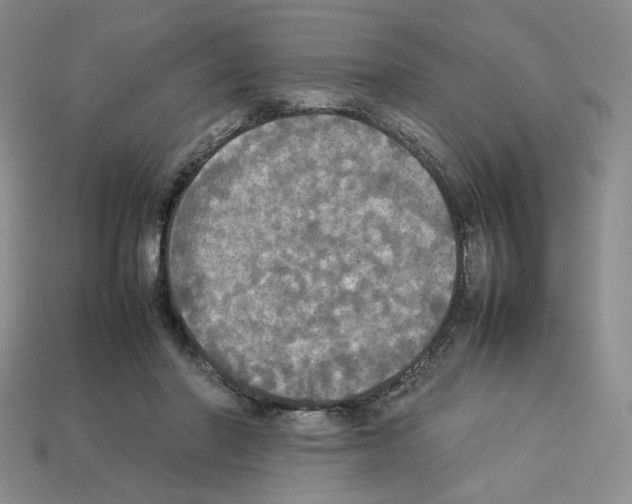 X0000112830406200910021227