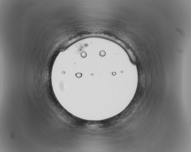 X0000112830407200910021227