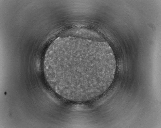 X0000112830408200910021227