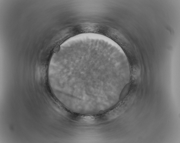 X0000112830409200910021227