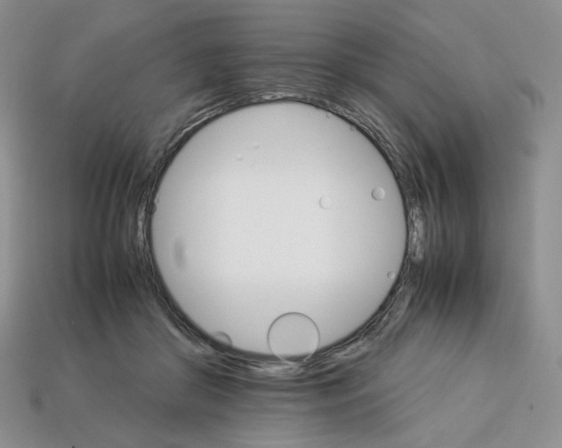 X0000112830410200910021227