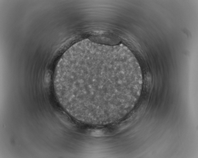 X0000112830412200910021227