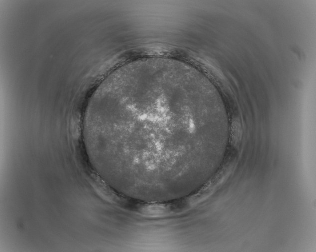 X0000112830413200910021227