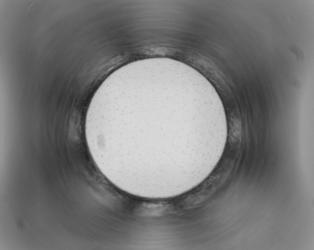 X0000112830414200910021226