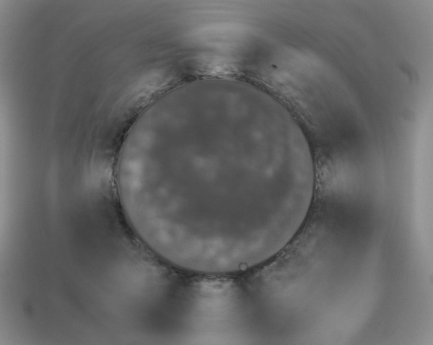 X0000112830415200910021226