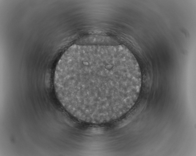 X0000112830416200910021226