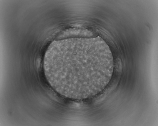 X0000112830420200910021226