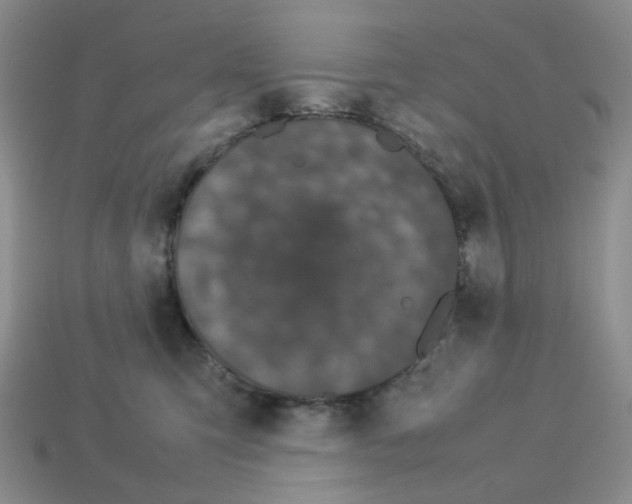 X0000112830423200910021226