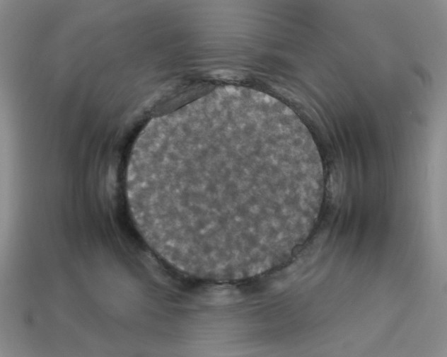 X0000112830424200910021226