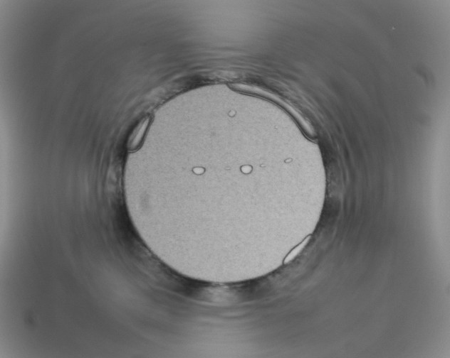 X0000112830425200910021226