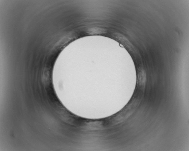 X0000112830426200910021226