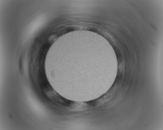 X0000112830429200910021226