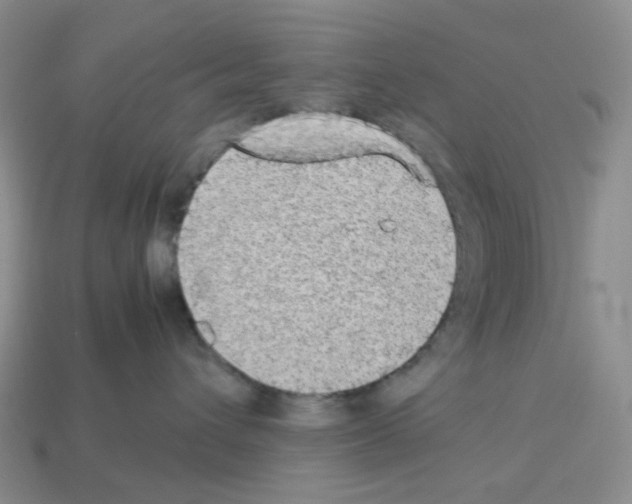 X0000112830432200910021226