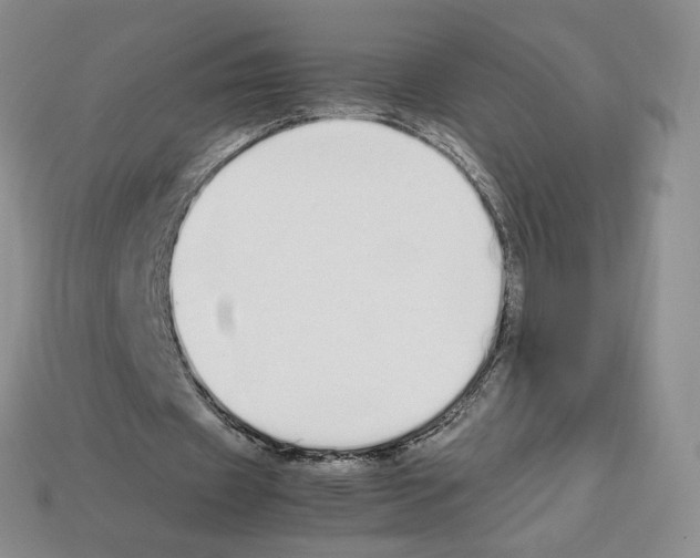 X0000112830433200910021226