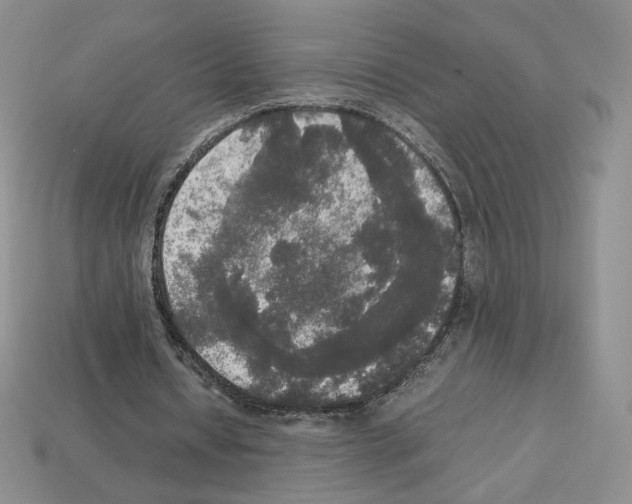 X0000112830434200910021226