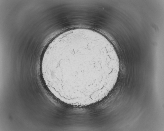 X0000112830437200910021226