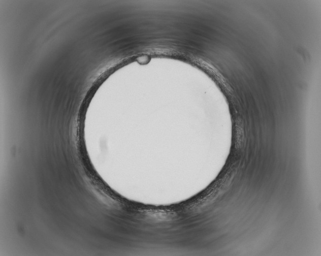 X0000112830439200910021226