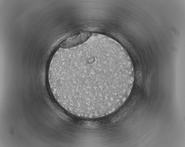 X0000112830442200910021226