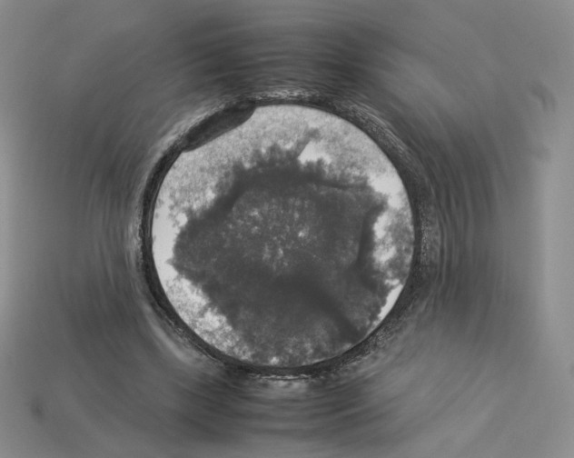 X0000112830443200910021226