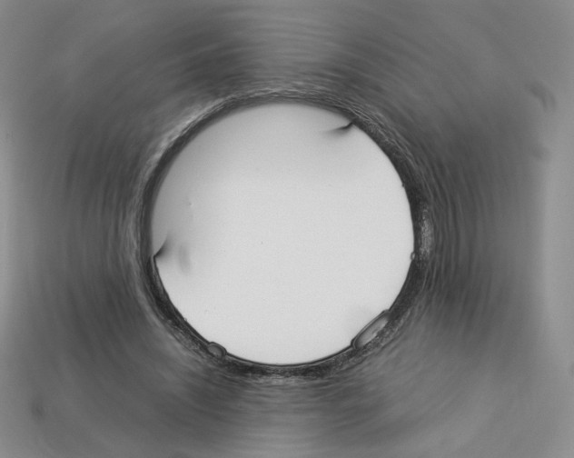 X0000112830444200910021226