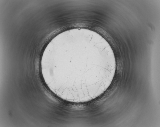 X0000112830445200910021226