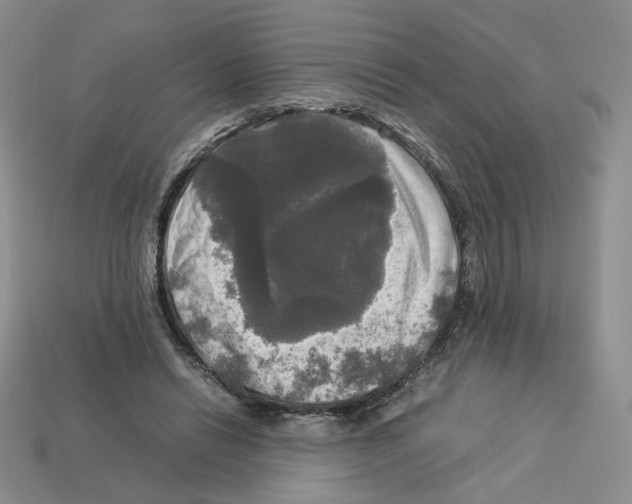 X0000112830446200910021226